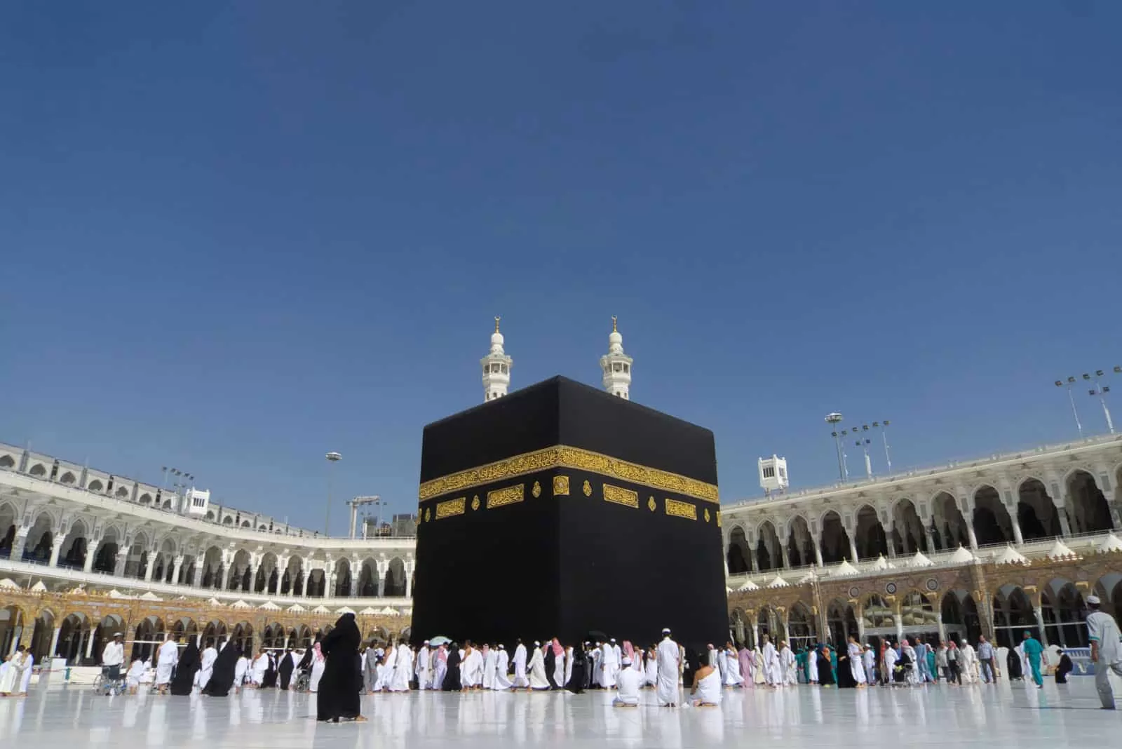 الإفتاء توضح قول الشرع فى حج أصحاب الهمم