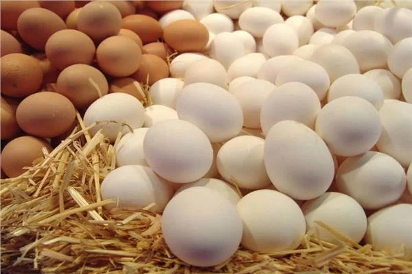  أسعار البيض اليوم السبت 12 سبتمبر 