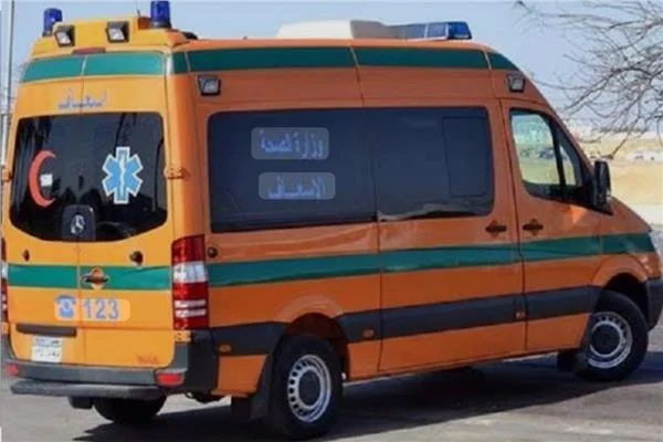 مقتل سيدة على يد شقيقها في قنا  