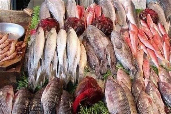  أسعار الأسماك اليوم الخميس 15 أكتوبر 