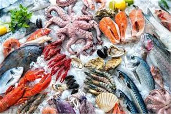 أسعار الأسماك اليوم الجمعة 18 سبتمبر 