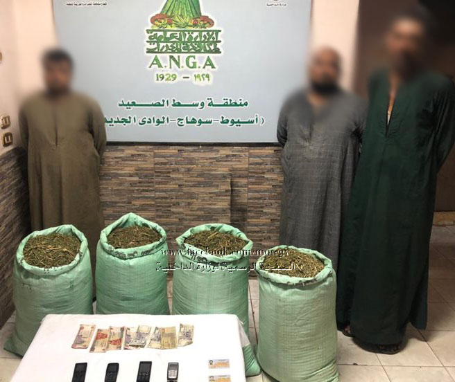 ضبط 3 أشخاص بأسيوط لقيامهم بالإتجار فى المواد المخدرة وبحوزتهم 160 كيلو جرام لمخدر البانجو