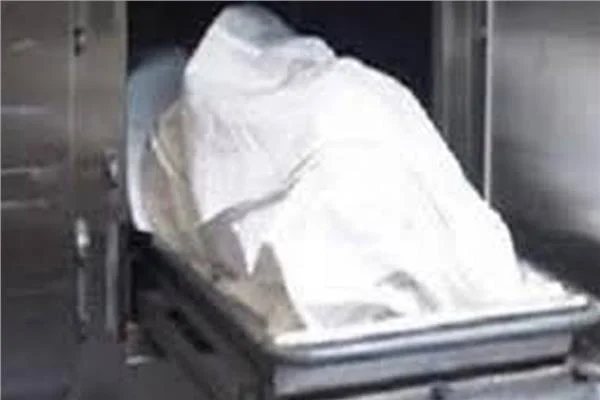 مصرع كهربائي في «بلاد المال» بقنا  