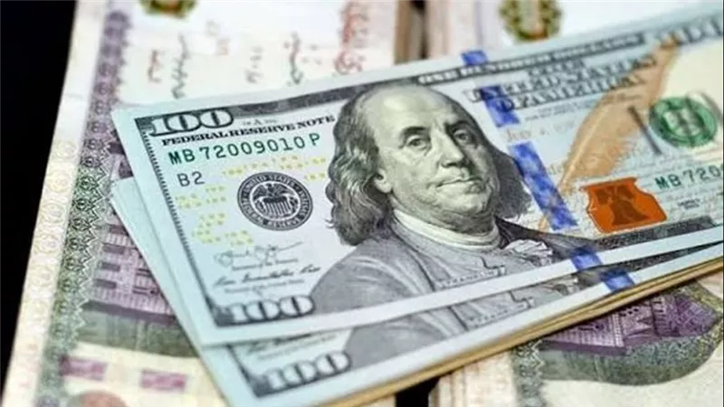  استقرار سعر الدولار أمام الجنيه المصري في منتصف تعاملات اليوم الثلاثاء 
