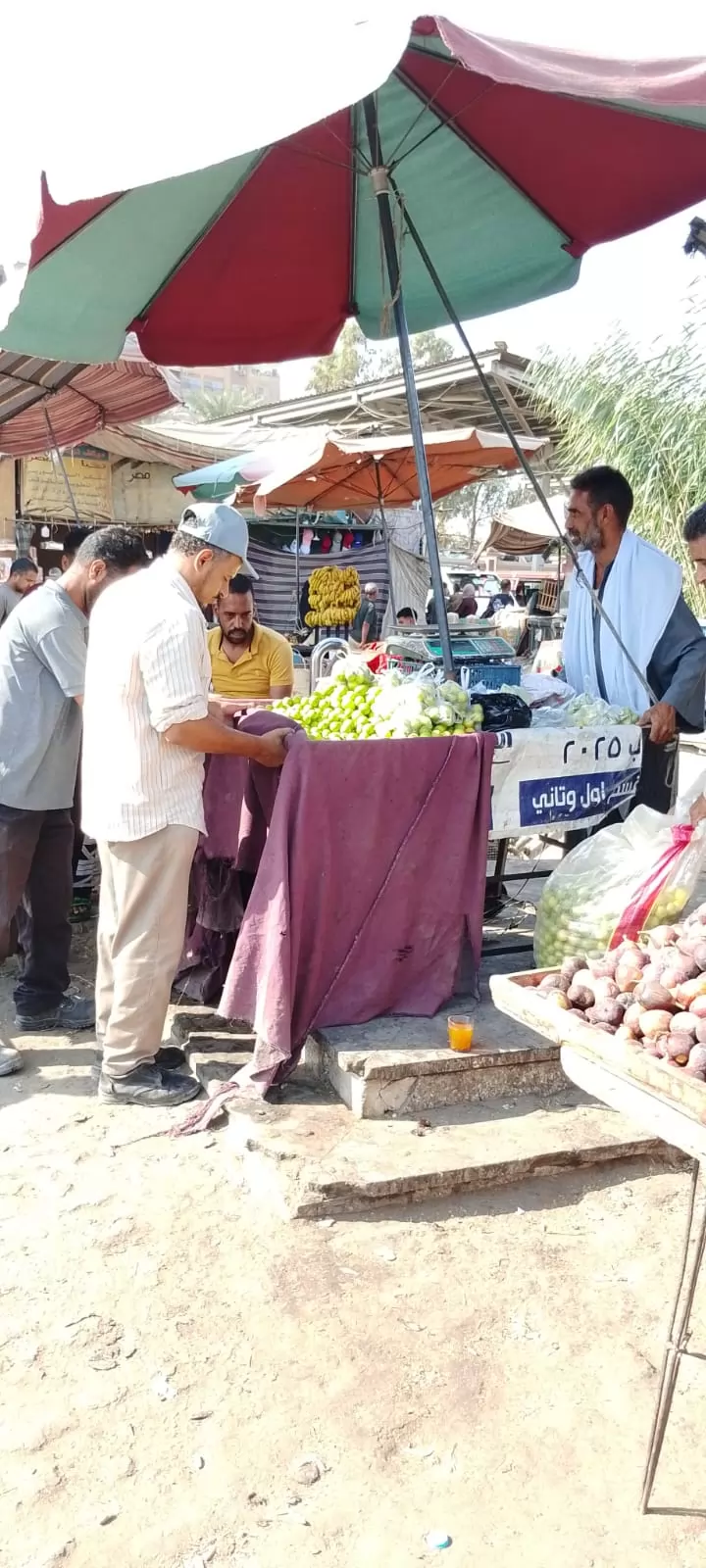 حملة مكبرة لرفع الإشغالات والتعديات من شوارع أسيوط