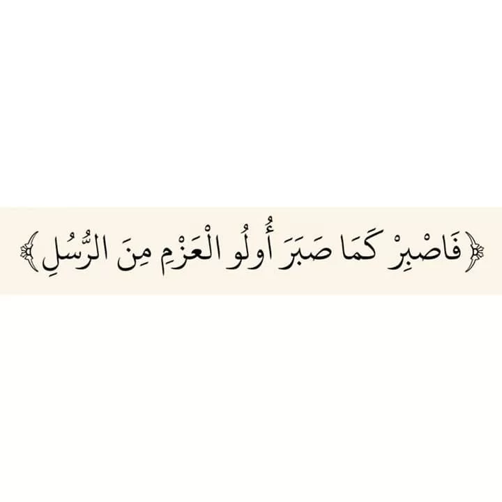 الصبر وجهاد النفس من الدروس المستفادة من ذكرى المولد النبوي