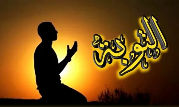 التوبة في القرآن..من الندم على الذنب إلى الإصلاح والاستقامة