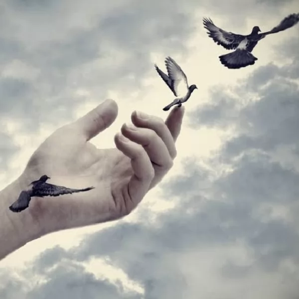 أسباب تراجع الرحمة