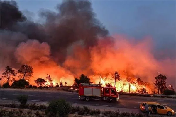  مقتل 12 شخصا في حرائق غابات بالجزائر 