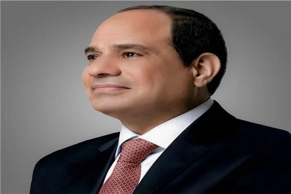 الرئيس السيسي يؤكد اهتمام الدولة المصرية بدعم استثمارات 