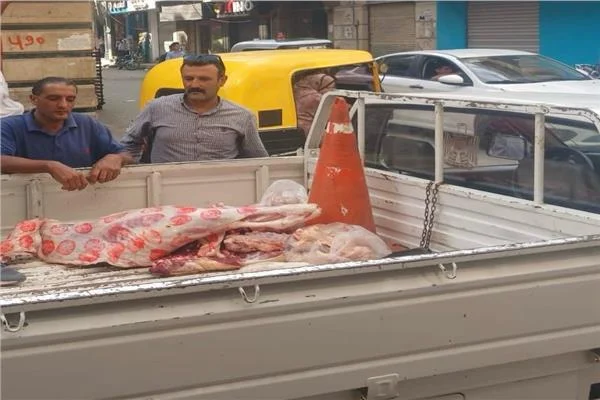 بيطري المنوفية: ضبط لحوم مذبوحة خارج المجازر الحكومية وفاسدة