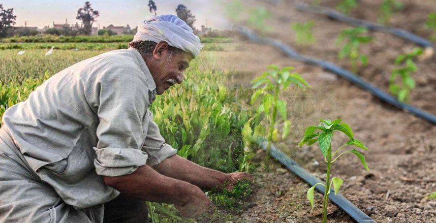 وزارة الري تهدي الفلاح المصري سبع مشروعات عملاقة 
