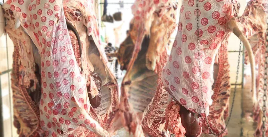 أختام اللحوم المزورة.. قنبلة صحية تهدد الصحة