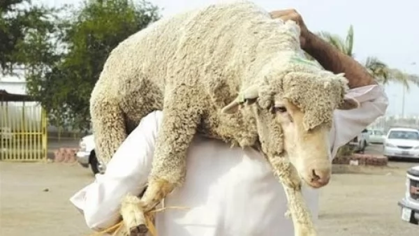 هربًا من الزحام..هل يجوز شراء صكوك هدي التمتع من المدينة؟