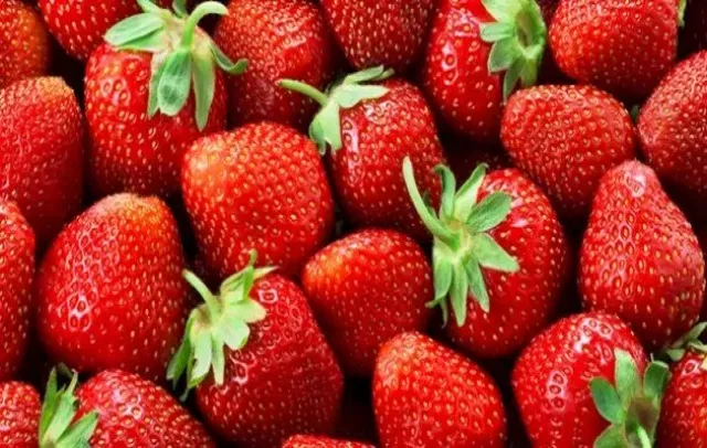 خبراء تغذية يحددون الكمية الآمنة لتناول الفراولة يوميا