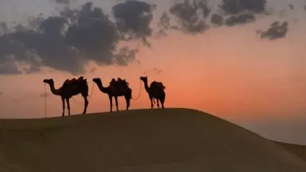 أعمال يفتح الله بتركها أبواب الخير مع قرب العام الهجري 1448