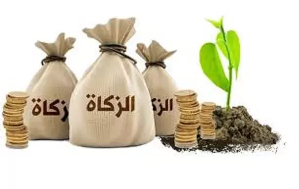 حكم زكاة الأسهم المدخرة